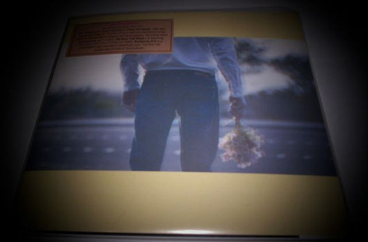 Newsletters - Lucky Country / Stranded [7 Inch Single]