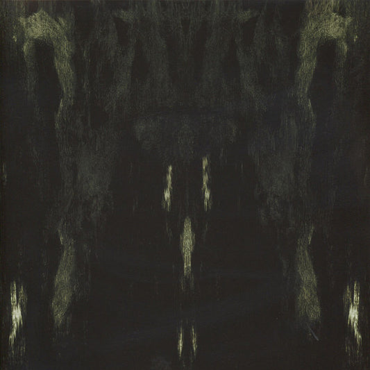 Impetuous Ritual - Unholy Congregation Of Hypocritical Ambi [Vinyl] [Second Hand]