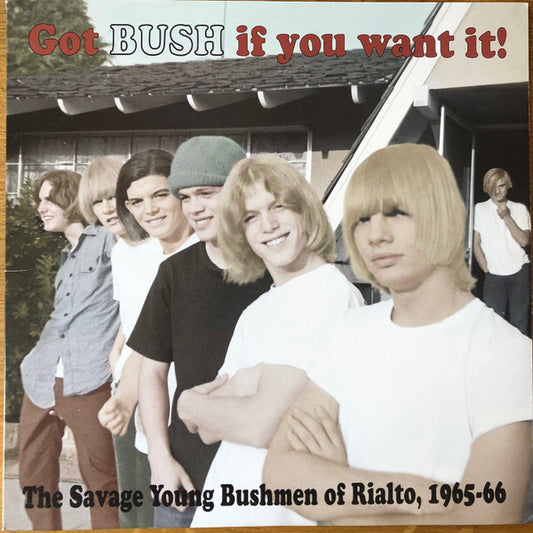 Bush - Got Bush If You Want It!: The Savage [Vinyl] [Second Hand]