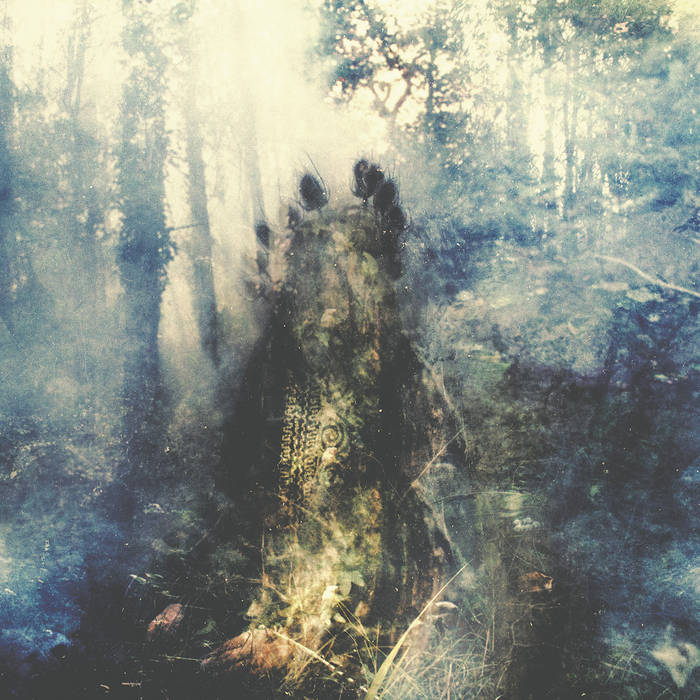 Sylvaine - Wistful [Vinyl] [Second Hand]