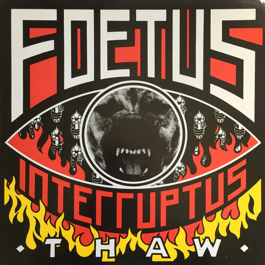 Foetus Interruptus - Thaw [Vinyl] [Second Hand]