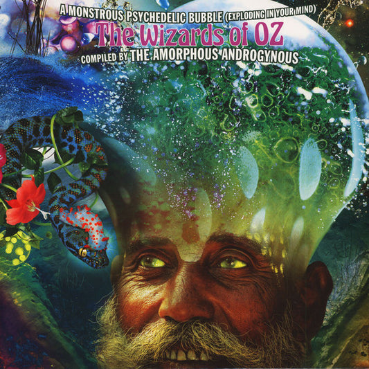 Various - Wizards Of Oz: A Monstrous Psychedelic [Vinyl] [Second Hand]