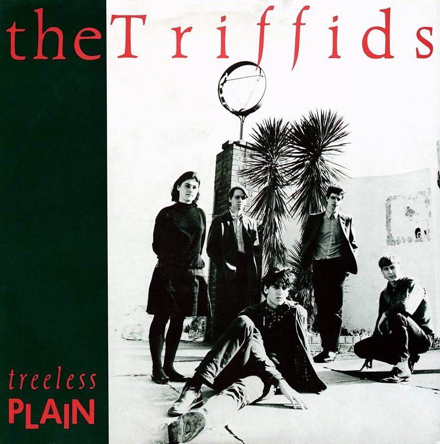Triffids - Treeless Plain [CD] [Second Hand]