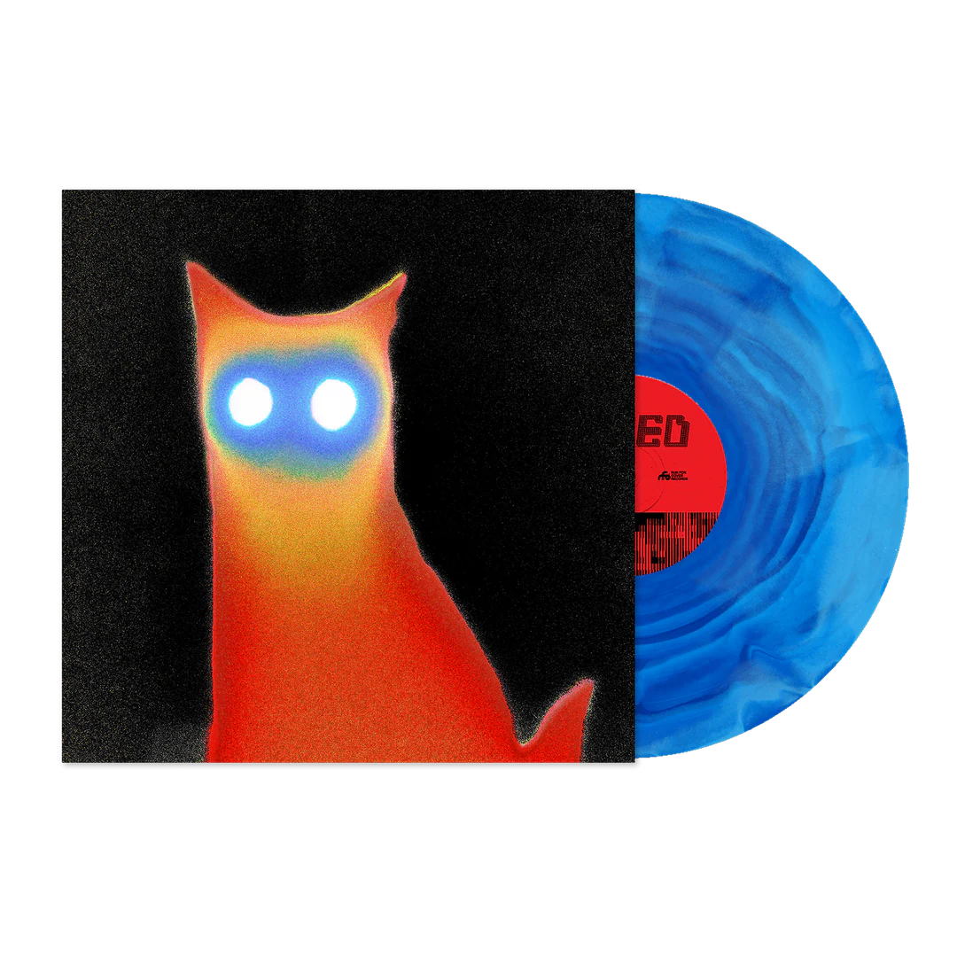 Basement - Wired [Vinyl]
