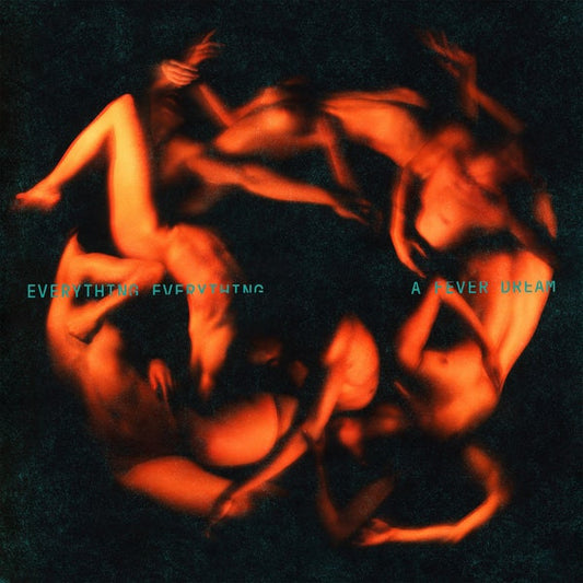 Everything Everything - A Fever Dream [Vinyl] [Second Hand]