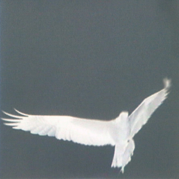 Bardo Pond - Adrop / Circuit Viii [Vinyl] [Second Hand]