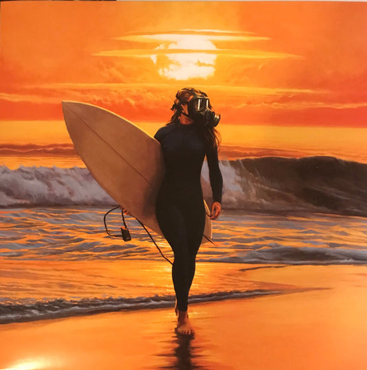 Birdcage - Wave Machine [Vinyl] [Second Hand]