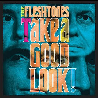 Fleshtones - Take A Good Look [Vinyl] [Second Hand]