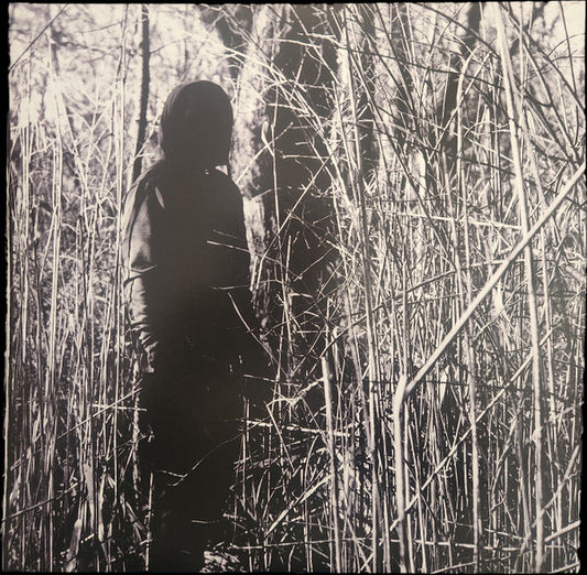 Woods, Billy - Today, I Wrote Nothing [Vinyl]