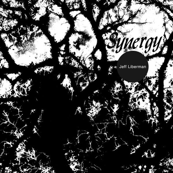 Liberman, Jeff - Synergy [Vinyl] [Second Hand]
