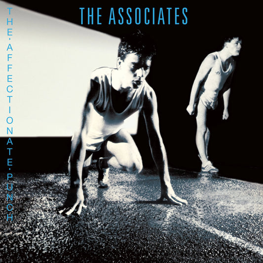 Associates - Affectionate Punch [Vinyl] [Second Hand]