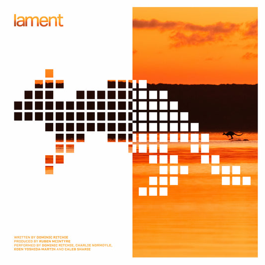 Vinted Vineer - Lament [Vinyl]