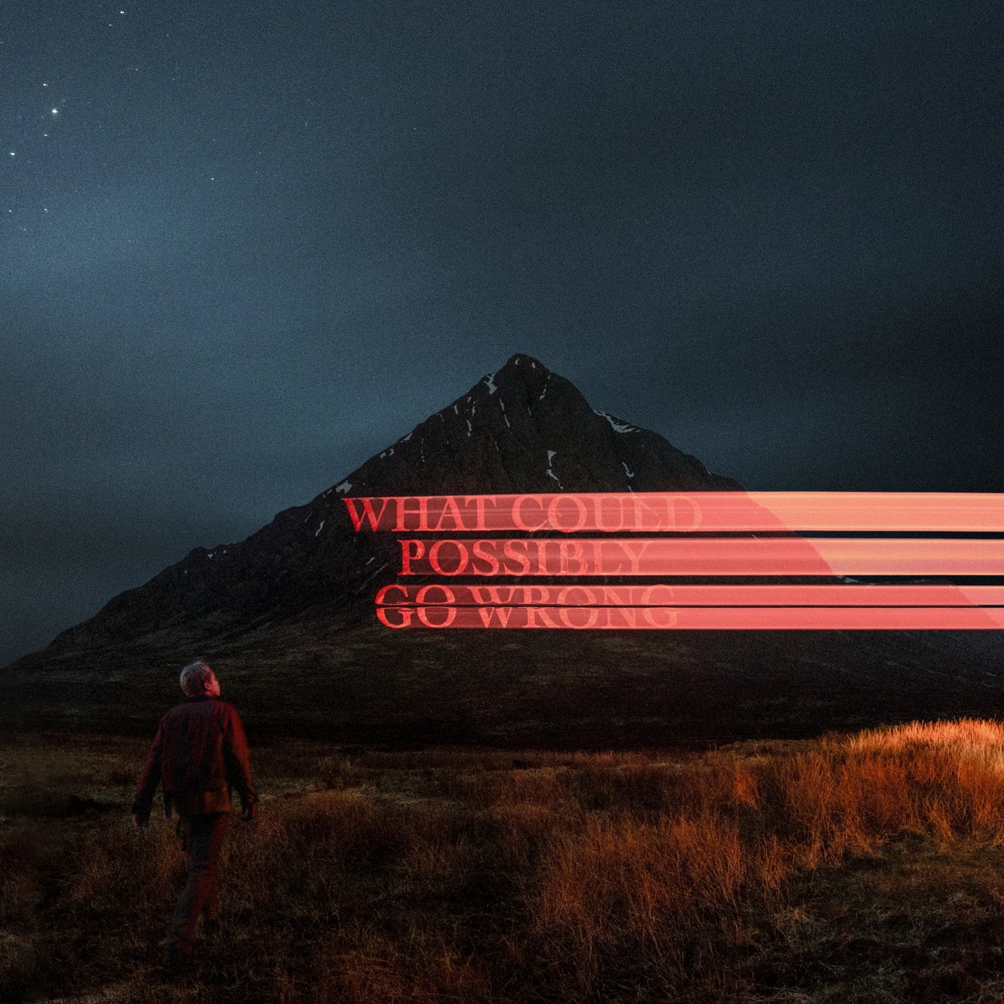Fike, Dominic - What Could Possibly Go Wrong [Vinyl]