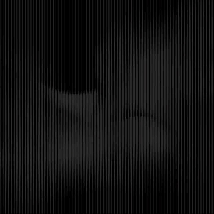 Ambrose Akinmusire - Beauty Is Enough [Vinyl]