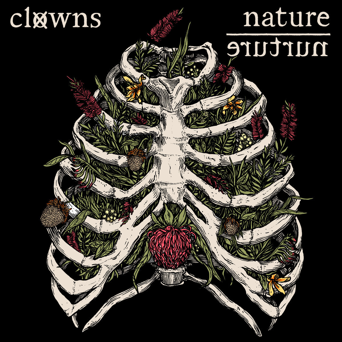 Clowns - Nature/Nurture [Vinyl] [Second Hand]